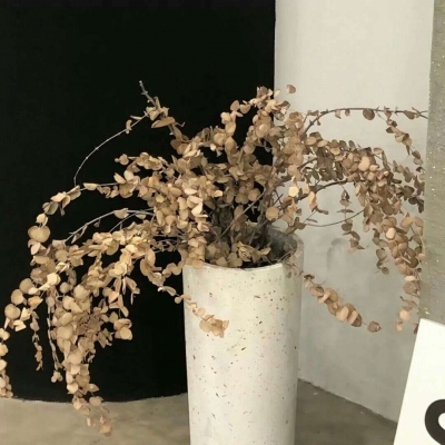 东营FurryQQ群介绍